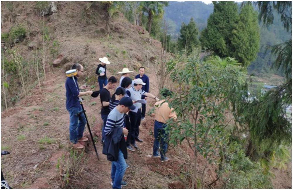 芙蓉国与海森文旅强强联合，共同打造湘西凤凰古城旅游度假旗舰项目