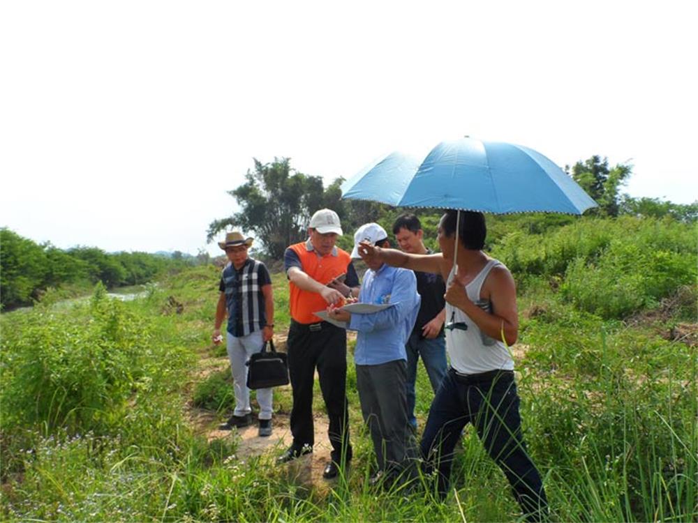 海森文旅龙门实地考察 拟规划国家级乡村度假公园