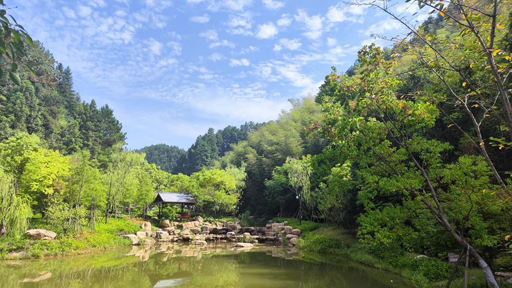 黃山水云間溫泉+樂(lè)園項(xiàng)目規(guī)劃設(shè)計(jì)正式啟動(dòng)