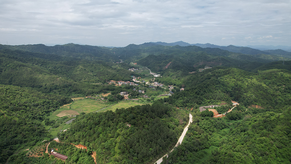 河源梧桐山康养度假基地项目正式启动