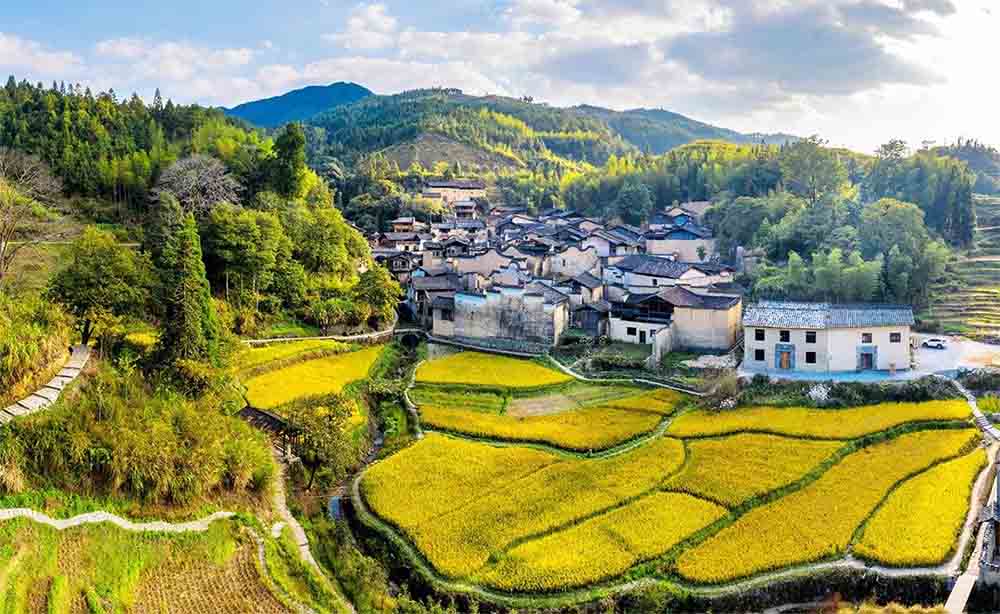 观点丨关于乡村旅游规划设计的几点思考