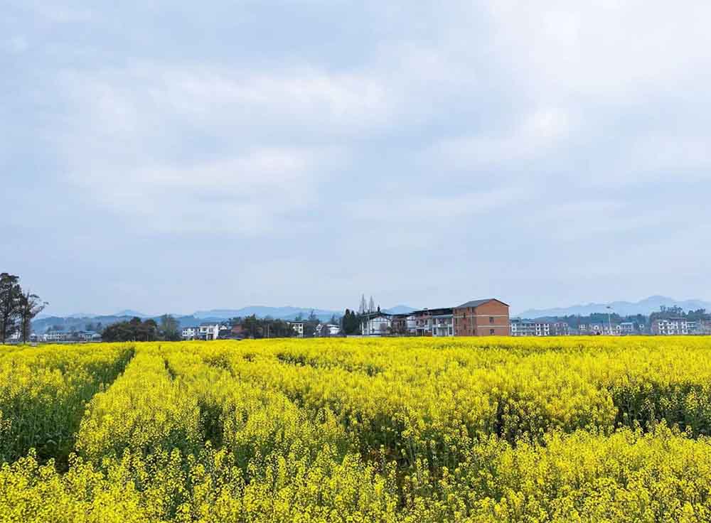 生态美学视域下的乡村旅游景观设计