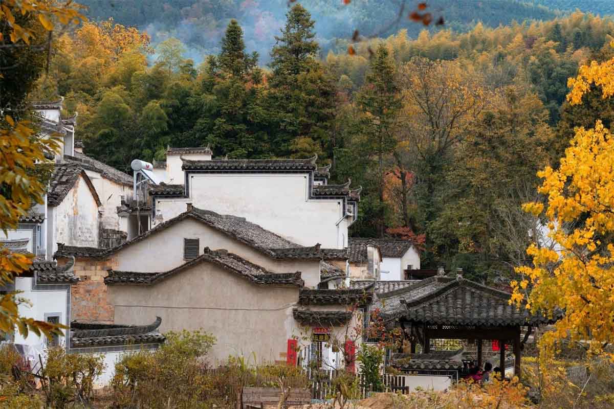 乡村旅居