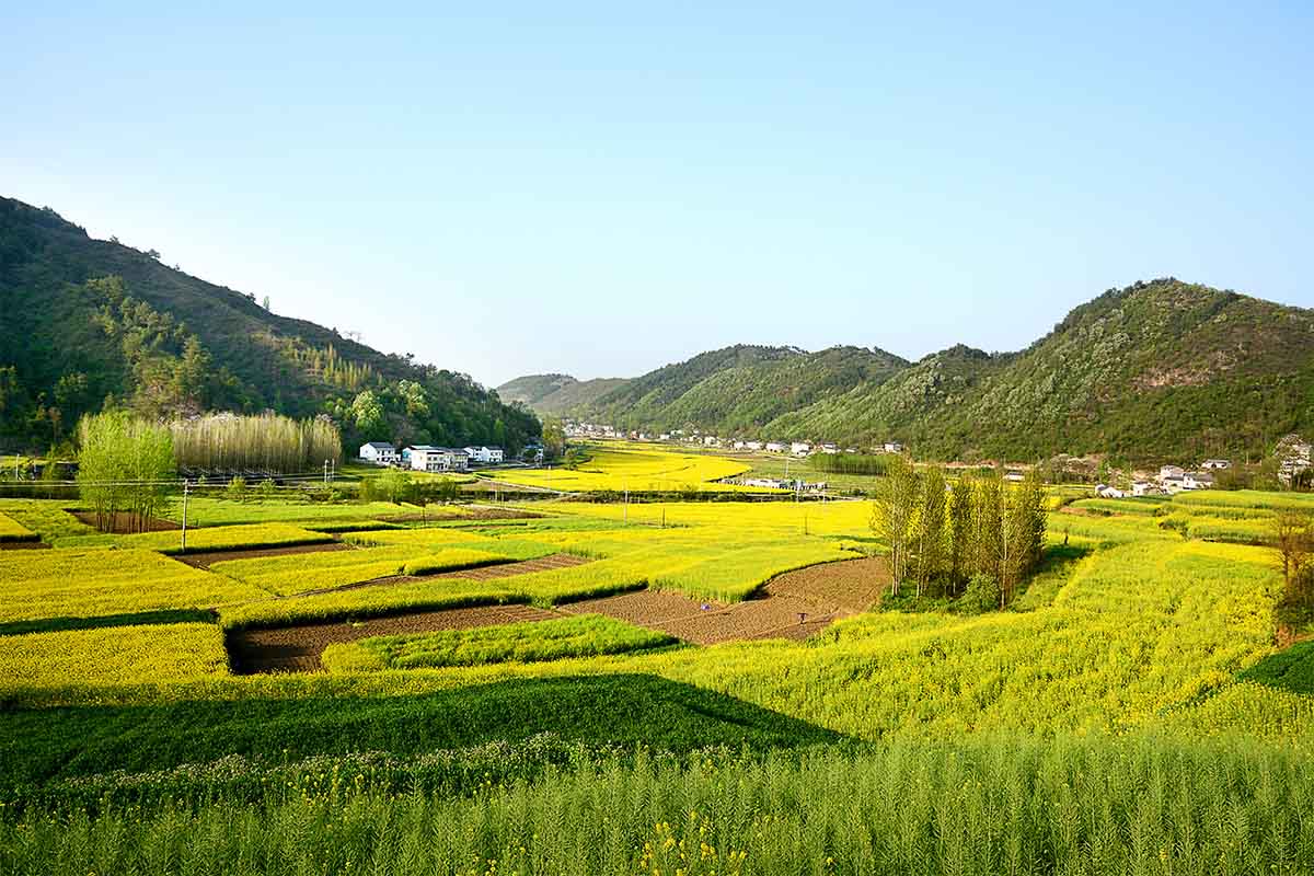 乡村康养旅游策划