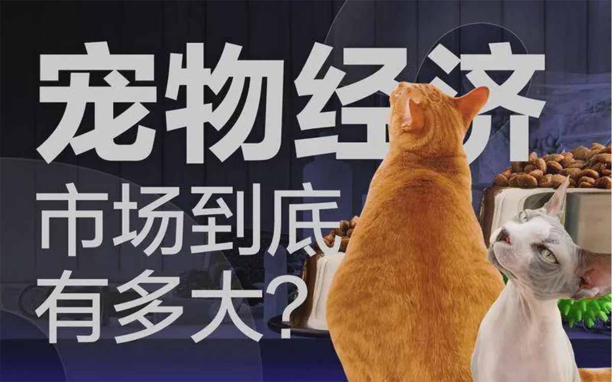 文旅项目开发：宠物竞价新潮流，激活 “它经济” 文旅新蓝海1
