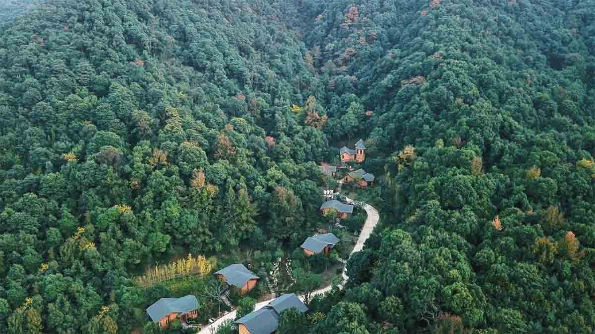 疗愈经济如何赋能文旅产业发展？11