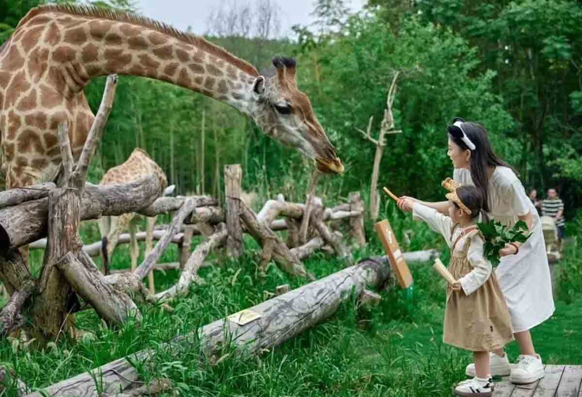 2025心动酒店六大类型,前期规划这样抓痛点13 2025心动酒店六大类型,前期规划这样抓痛点13