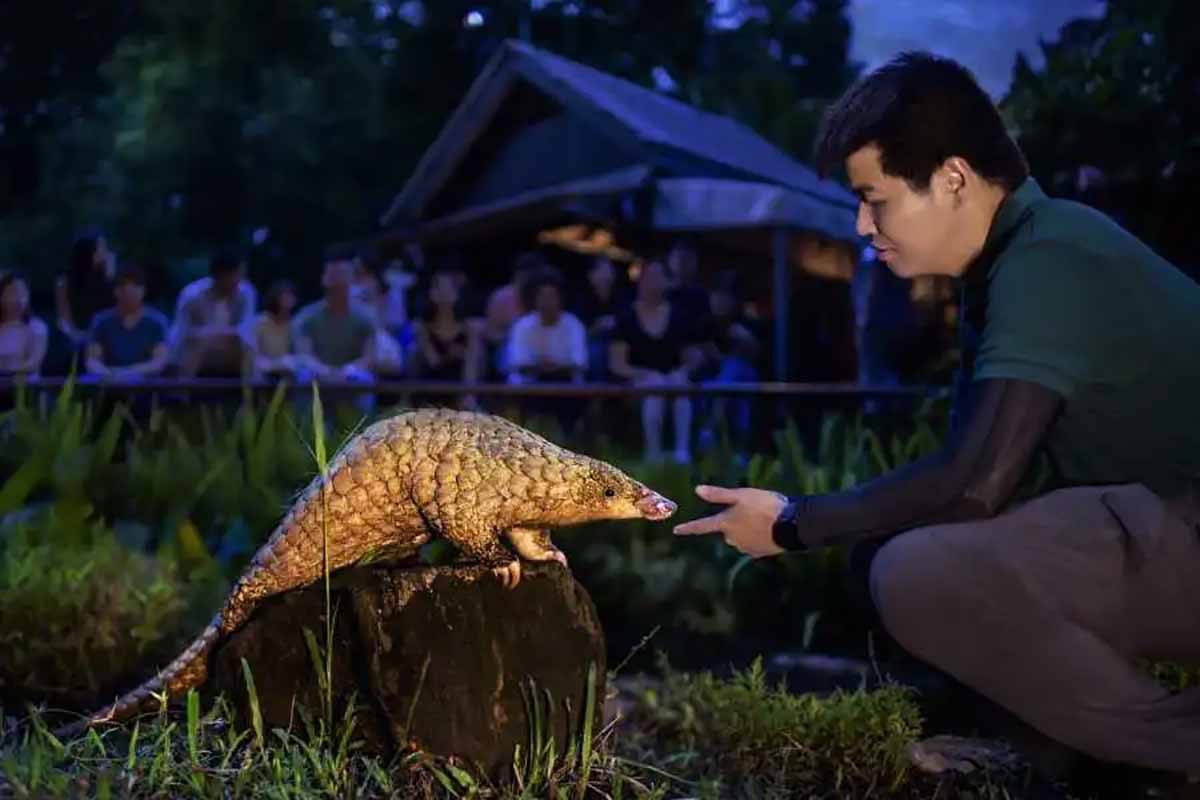 破局夜游同质化:五大成功案例的核心创新与借鉴价值2 破局夜游同质化:五大成功案例的核心创新与借鉴价值2