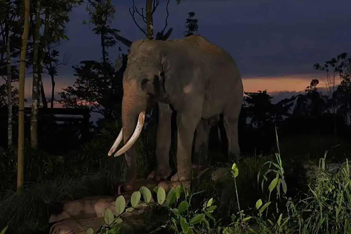 破局夜游同质化:五大成功案例的核心创新与借鉴价值4