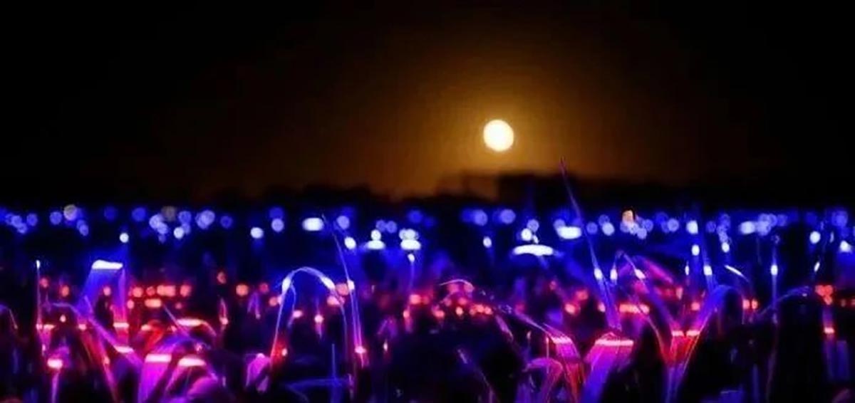 破局夜游同质化:五大成功案例的核心创新与借鉴价值7 破局夜游同质化:五大成功案例的核心创新与借鉴价值7