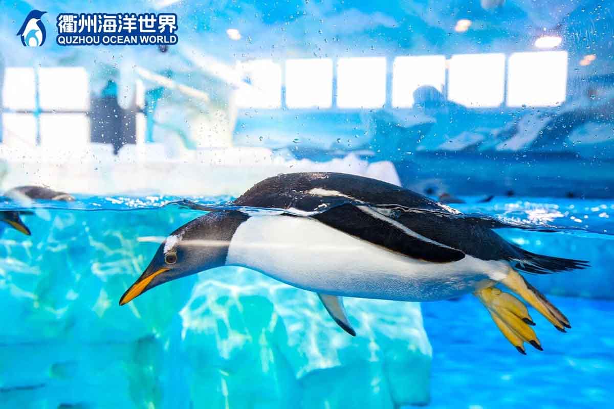 趣味乐园：五大特色主题乐园案例深度解析39