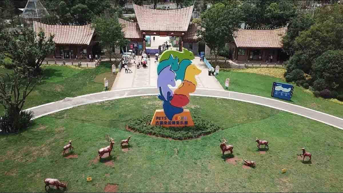 趣味乐园：五大特色主题乐园案例深度解析41