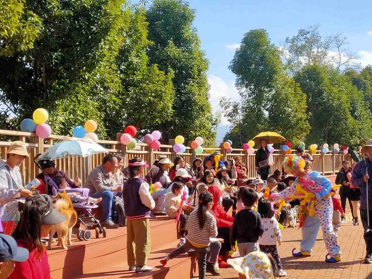 趣味乐园：五大特色主题乐园案例深度解析45