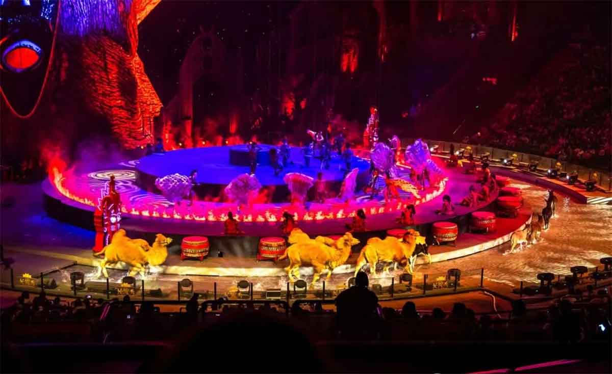 主题乐园创意运营策略解析:IP、数据与体验的盈利密码8 主题乐园创意运营策略解析:IP、数据与体验的盈利密码8