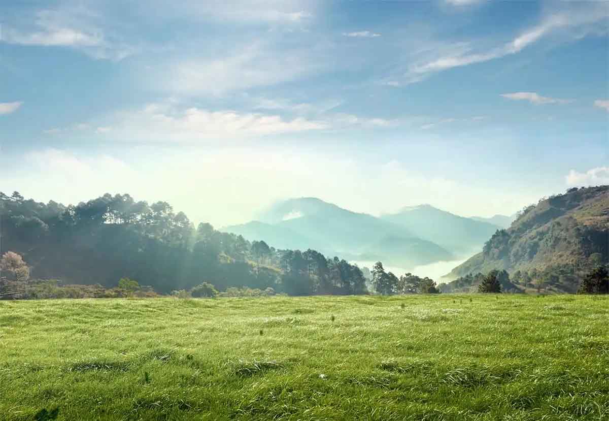 文旅招商引资破局之路：找准逻辑、精准施策、构建生态2